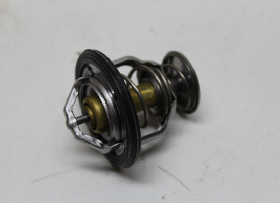 Thermostaat Honda CRF 1100 Africa Twin