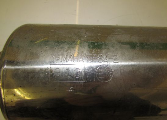 Auspuff Yamaha TDM