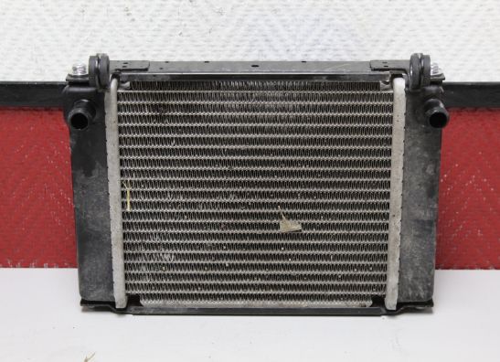 Radiator Kymco Downtown 350i