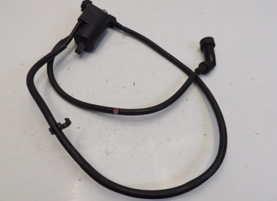 Bobine Yamaha XJ 900 S Diversion