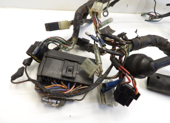 Kabelboom Kawasaki ER 5