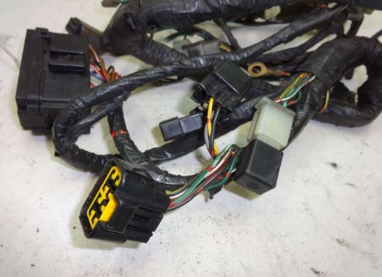 Kabelbaum Kawasaki ER 5