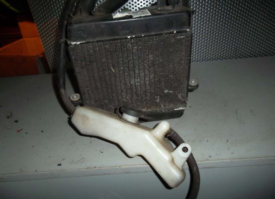 Radiateur Honda Fes 150