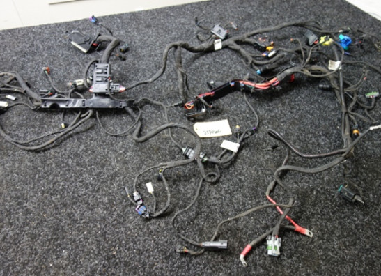 Wire Harness Harley Davidson Pan America