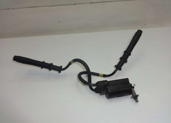 Bobine Kawasaki ZZR 600