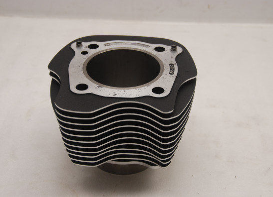 Zylinder Harley Davidson Softtail