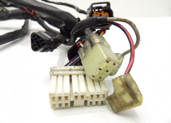 Kabelbaum Yamaha FAZER 1000