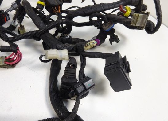 Kabelboom Ducati monster 1100