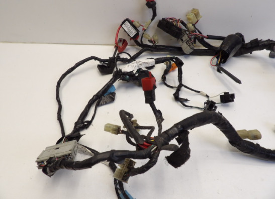 Kabelbaum Honda CBR Fireblade