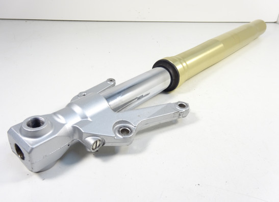 Standrohr Gabelholm links komplett Yamaha YZF R1