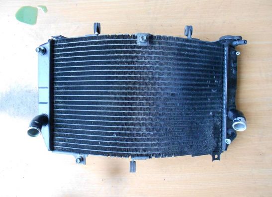 Radiator Suzuki GSX R 750