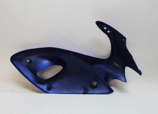 Kanzel links Suzuki SV 650