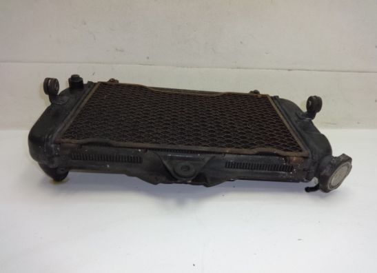 Radiator Yamaha TDM