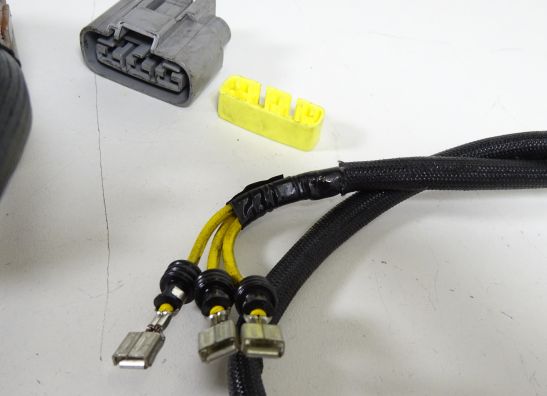 Lichtmaschine Ducati Monster 1200