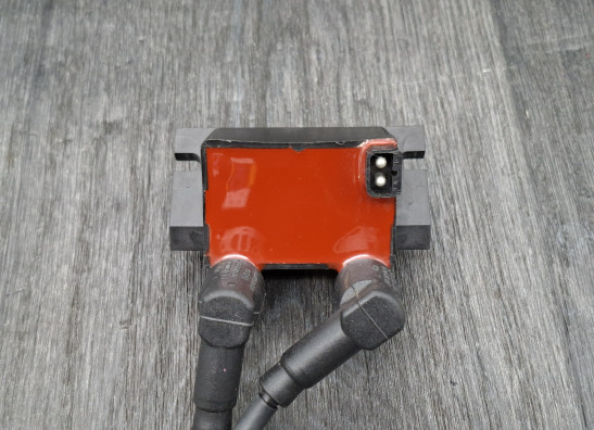 Bobine BMW R 1150 GS