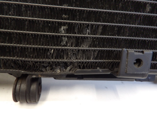 Radiateur Yamaha FZ6