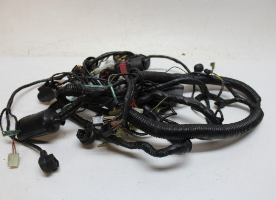 Wire Harness Kawasaki ZXR 750