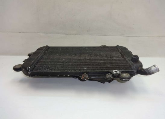 Kuhler Kawasaki VN 700  750