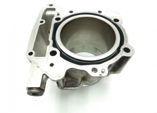 Cilinderblok Aprilia RSV 1000