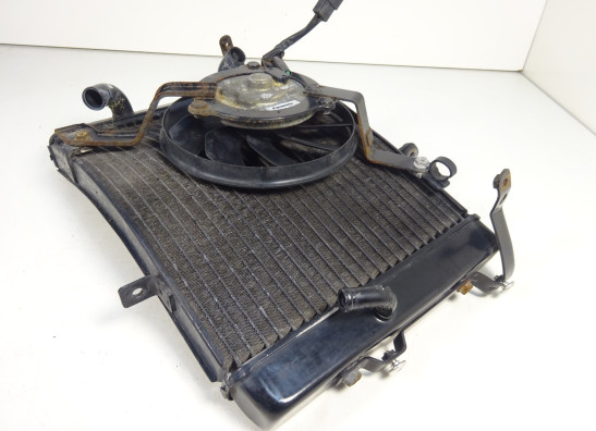 Radiateur Triumph Street Triple 675