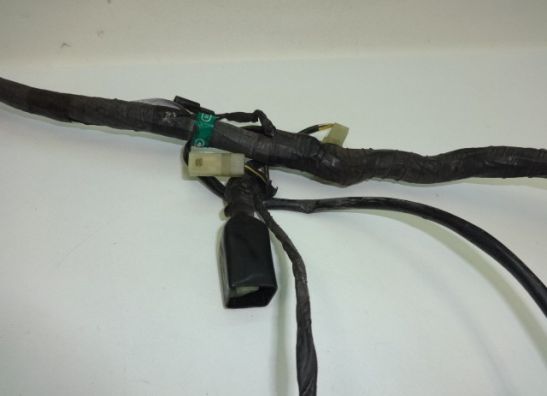 Wire Harness Kawasaki ZZR 1100