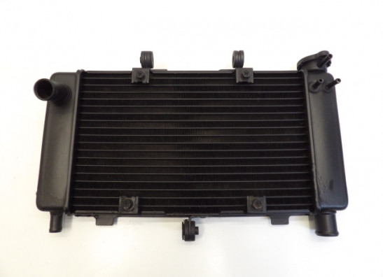 Radiator Yamaha FZ6