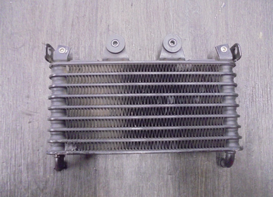 Oliekoeler BMW R Nine T
