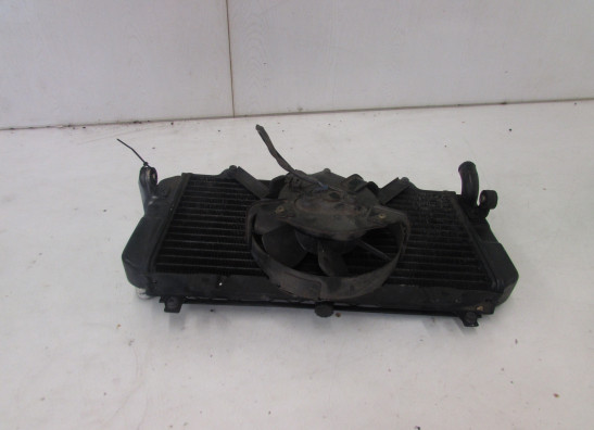 Radiateur Yamaha FZR 600
