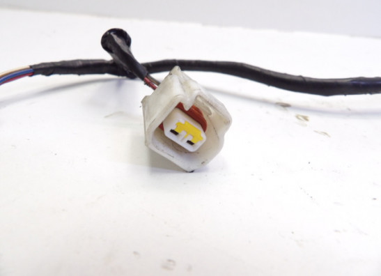 Kabelbaum vorne Honda CBR Fireblade