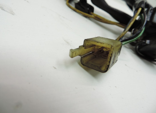 Dynamo Suzuki VS 700 Intruder