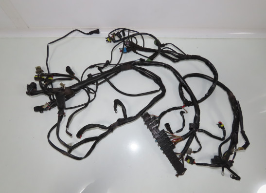 Kabelboom Moto Guzzi California EV