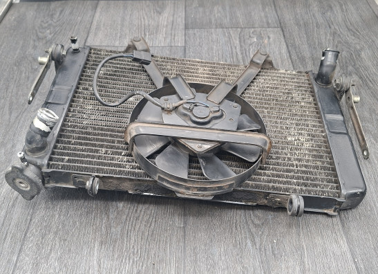 Radiator Yamaha FZR 1000