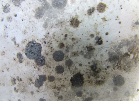 Muffler Kawasaki ZX 6 R