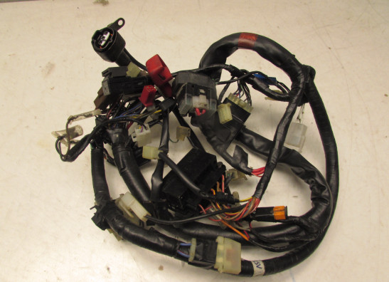 Kabelbaum Yamaha FAZER 600