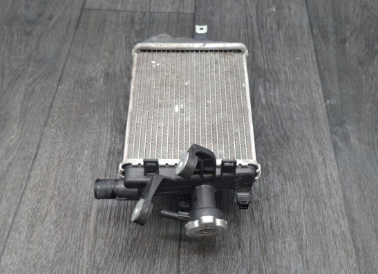 Kuhler BMW R 1200 GS LC