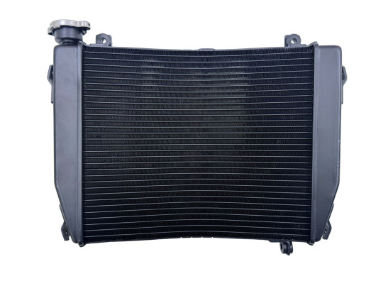 Radiateur Aprilia RS 660