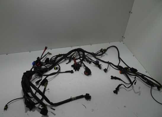 Kabelboom Ducati Multistrada 1100 2007-2009