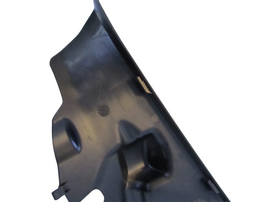 Binnenkuip Ducati Panigale V4 R