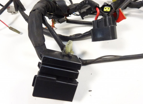 Wire Harness Yamaha FJR 1300