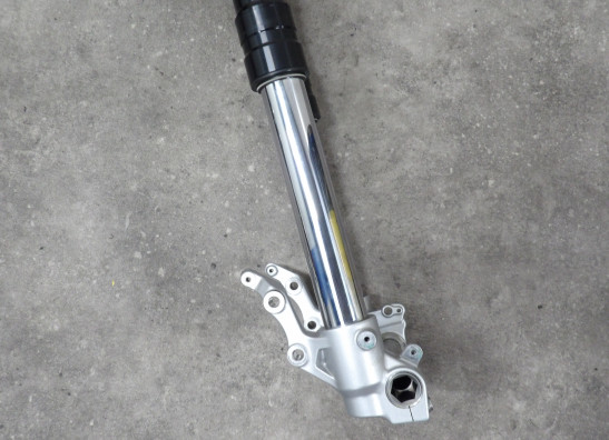 Voorpoten compleet BMW F 850 GS