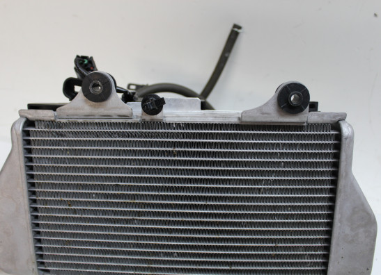 Radiateur Honda CRF 1100 Africa Twin