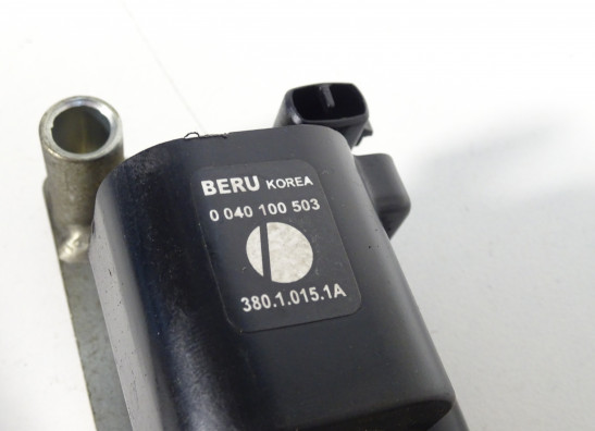 Bobine Ducati Monster 695