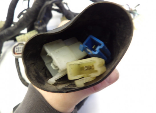 Kabelboom Yamaha TDM