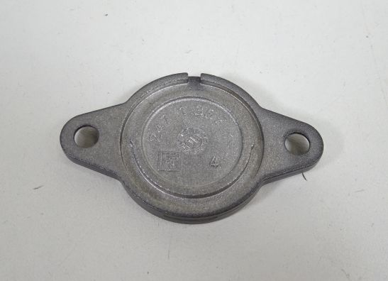 Motorblokdeksel Ducati Diavel