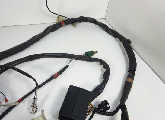 Kabelbaum Aprilia Falco