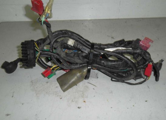 Kabelbaum Honda CBR 600 F
