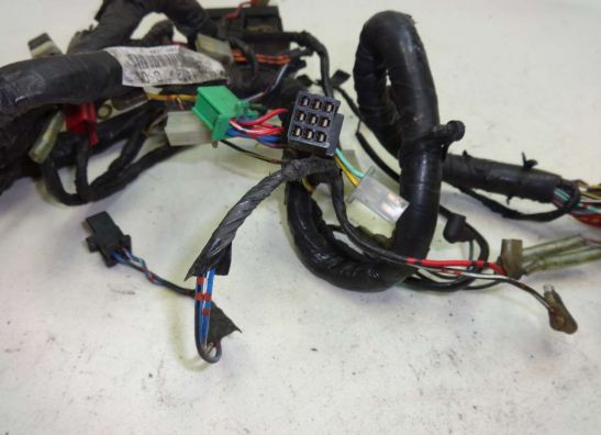 Kabelbaum Kawasaki ER 5