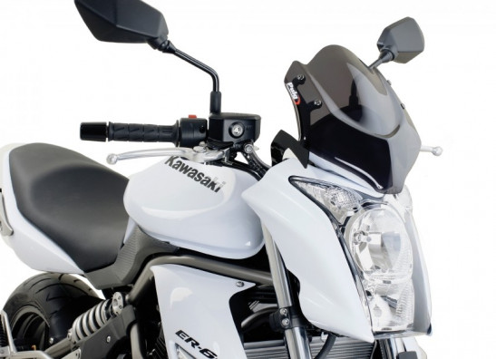 Scheibe Windschild Kawasaki ER 6
