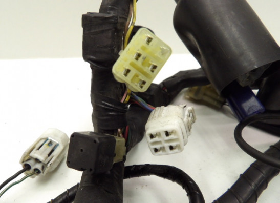 Wire Harness Yamaha FZ6