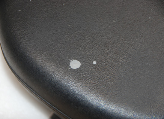 Buddy zadel Harley Davidson Sportster